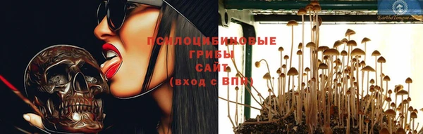 стафф Алексеевка