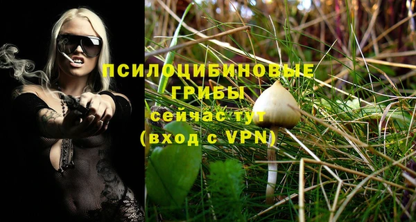 стафф Алексеевка